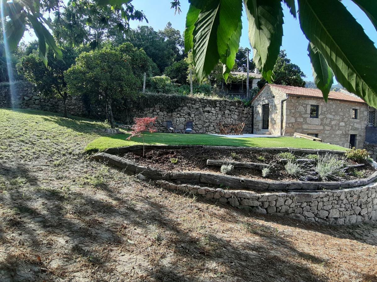 River House Sejaes Oliveira de Frades Экстерьер фото