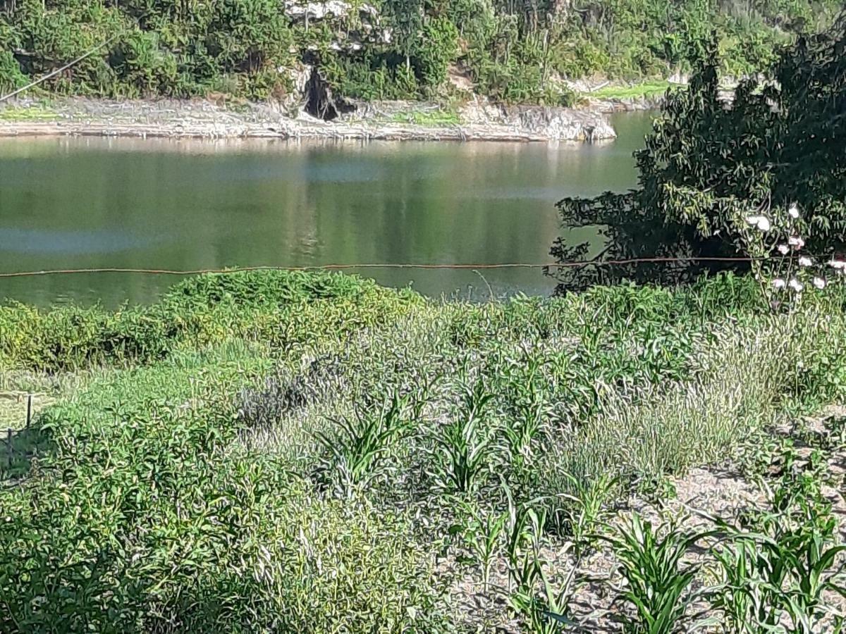 River House Sejaes Oliveira de Frades Экстерьер фото