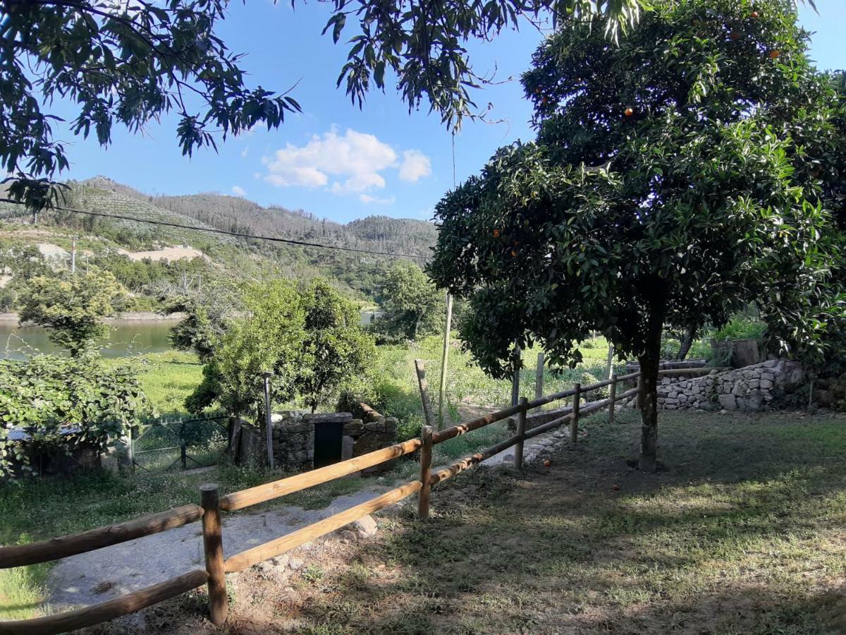 River House Sejaes Oliveira de Frades Экстерьер фото